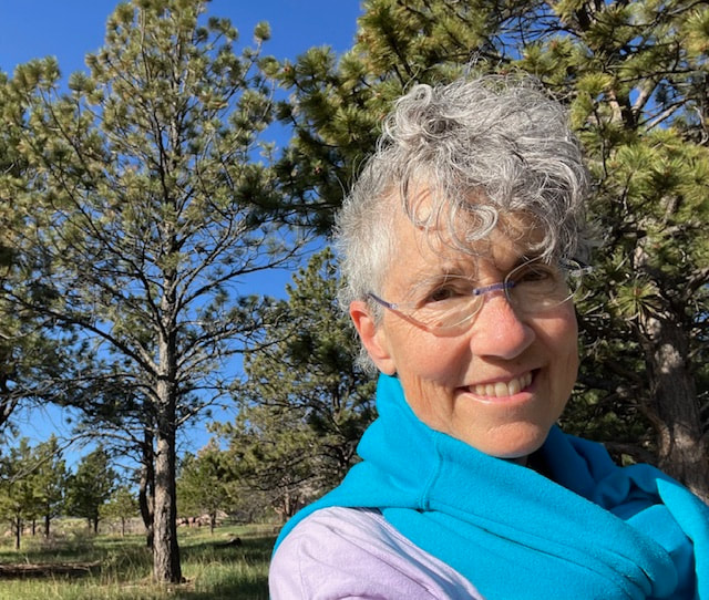 Laura Brodie, couples counselor, marriage therapist, individual psychotherapist in  Boulder & Denver
